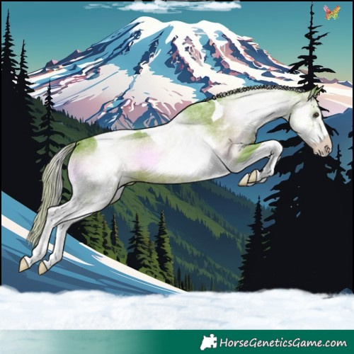 Horse Color:Watercolor White Spotted Red Onyx Tobiano 