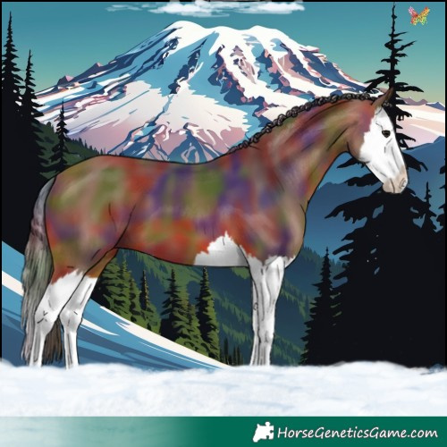 Horse Color:Nacre Bay Splash 