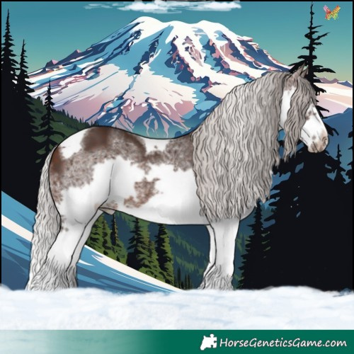 Horse Color:Silver Brown Splash Tobiano Frame