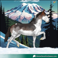 Horse Color:Brown Splash Tobiano 