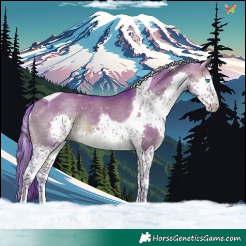Horse Color:Watercolor Brown Dun Splash Tobiano