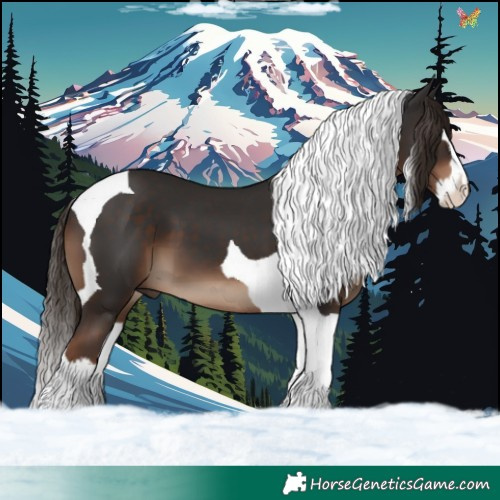 Horse Color:Liver Chestnut Splash Tobiano 