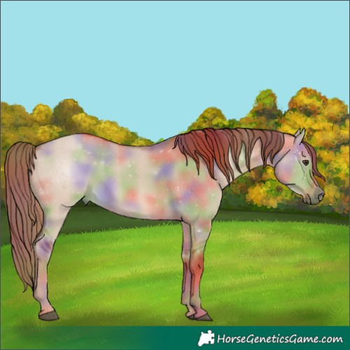 Horse Color:Nacre Red Dun 