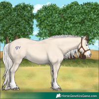 Horse Color:Cremello  and Cremello 