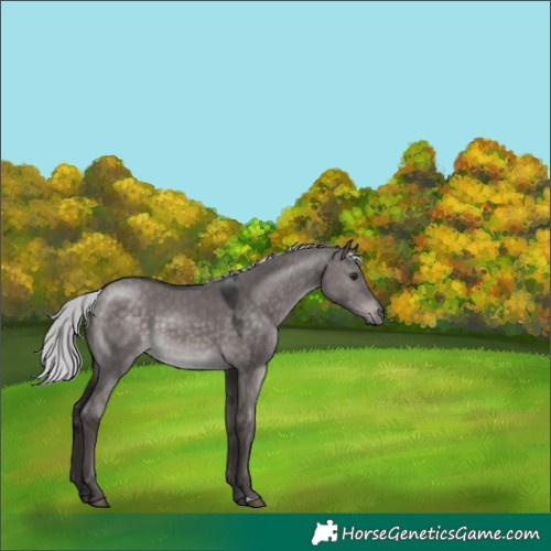 Horse Color:Platinum Silver Brown Dun 