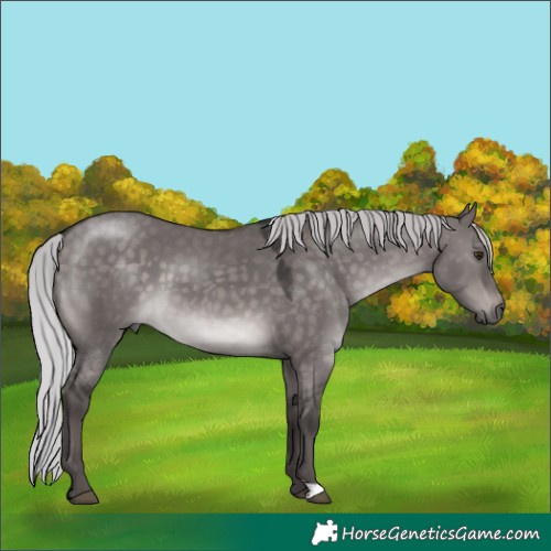 Horse Color:Platinum Silver Brown Dun 