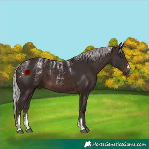 Horse Color:Powder White Silver Brown