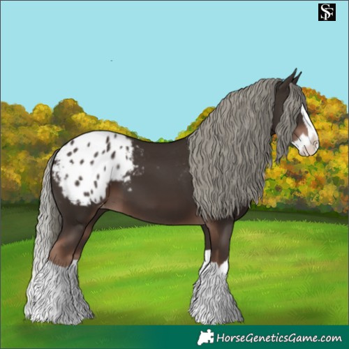 Horse Color:Liver Chestnut Mushroom Splash Blanket 
