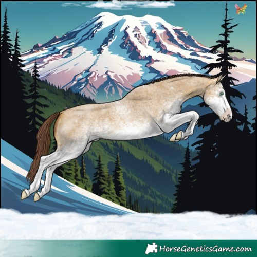 Horse Color:White Spotted Chocolate Sable Cream Champagne Roan 