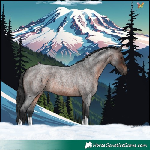 Horse Color:Brown Roan