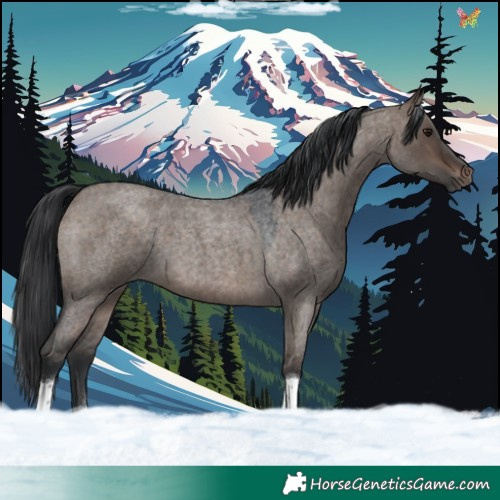 Horse Color:Brown Roan Dun 