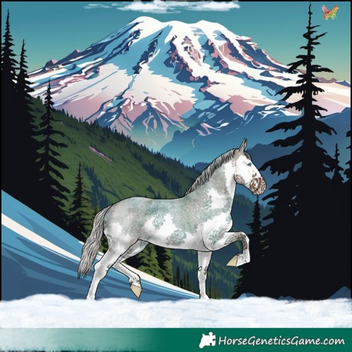 Horse Color:Silver Blue Roan Splash