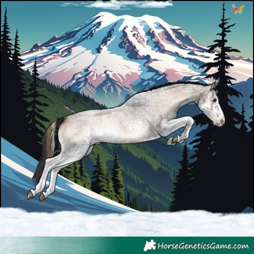 Horse Color:White Spotted Bay Roan Onyx 