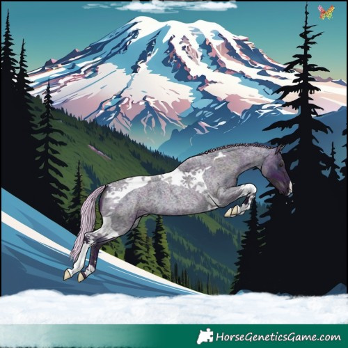 Horse Color:Watercolor Midnight Silver Blue Ice Roan Tobiano