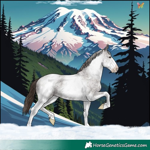 Horse Color:White Spotted Liver Red Roan 