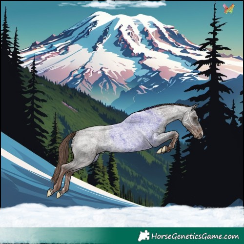 Horse Color:Liver Red Ice Roan 