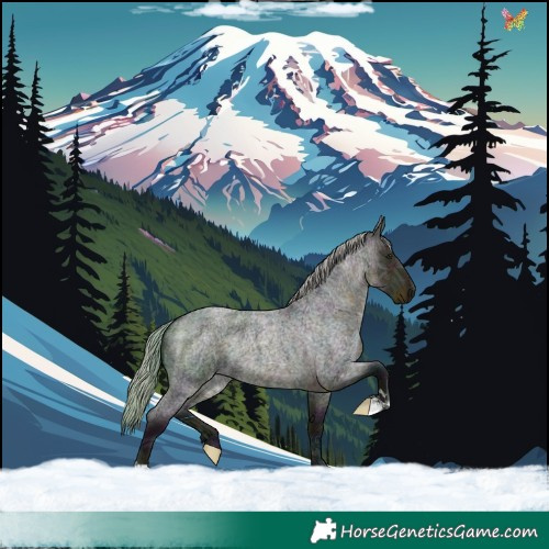 Horse Color:Midnight Silver Buckskin Ice Roan