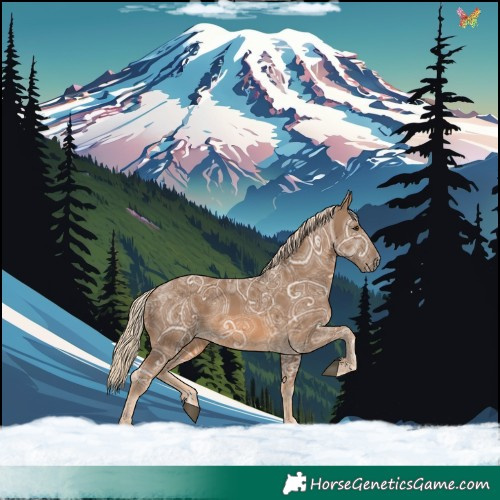 Horse Color:Chocolate Palomino Ice 