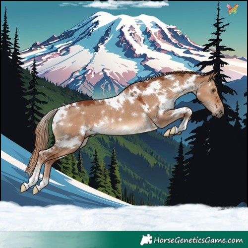 Horse Color:White Spotted Red Dun Rabicano