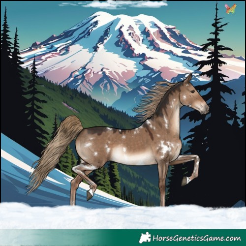 Horse Color:White Spotted Liver Red Dun Rabicano