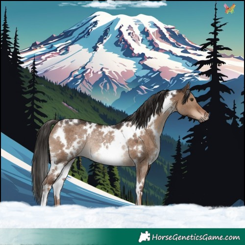 Horse Color:White Spotted Liver Red Dun Rabicano 