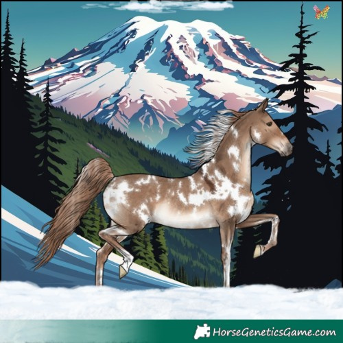 Horse Color:White Spotted Liver Red Dun Rabicano