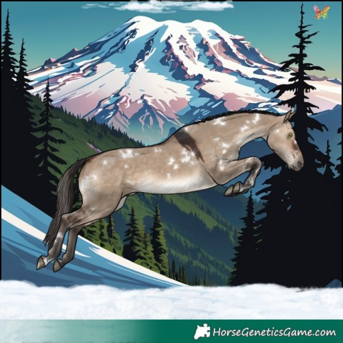 Horse Color:White Spotted Brown Dun 