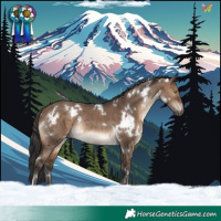 Horse Color:White Spotted Brown Dun Rabicano 