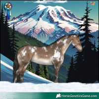 Horse Color:White Spotted Brown Dun Rabicano 