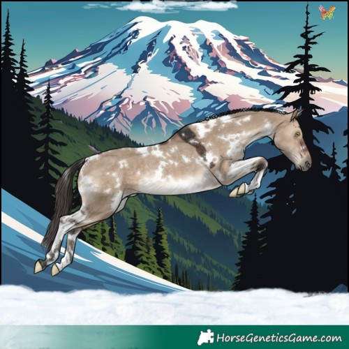 Horse Color:White Spotted Brown Dun Rabicano 
