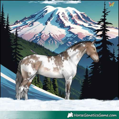 Horse Color:White Spotted Brown Dun Rabicano 
