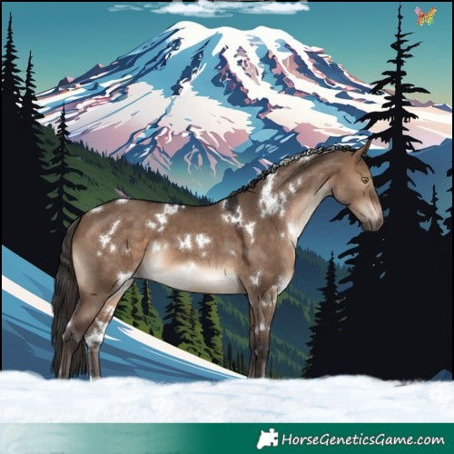 Horse Color:White Spotted Brown Dun 