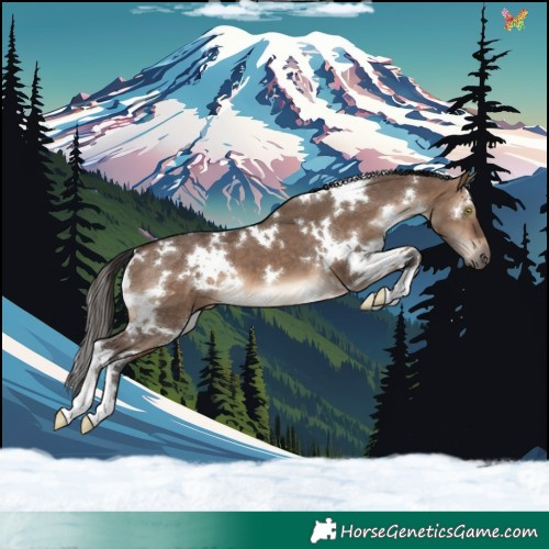 Horse Color:White Spotted Brown Dun 
