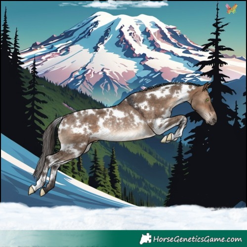 Horse Color:White Spotted Brown Dun Rabicano 