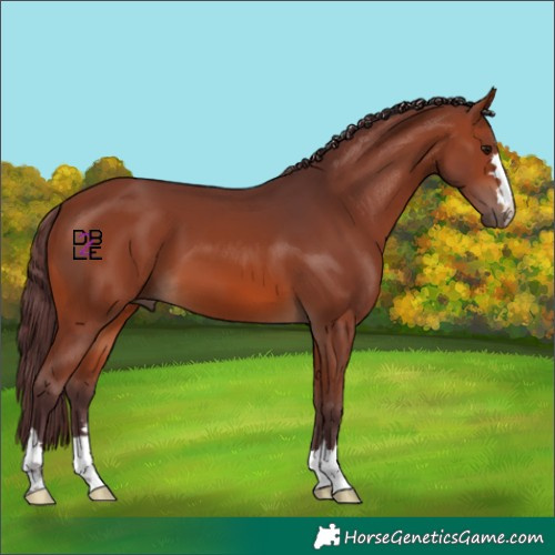 Horse Color:Chocolate Brown 