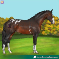 Horse Color:Brown Varnish 