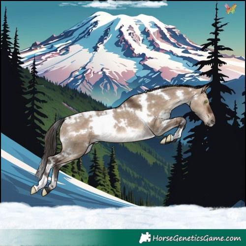 Horse Color:White Spotted Brown Dun Rabicano