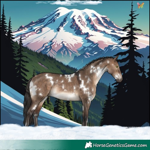 Horse Color:White Spotted Brown Dun Rabicano 