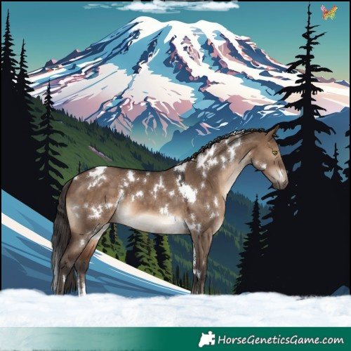 Horse Color:White Spotted Brown Dun