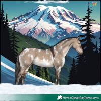 Horse Color:White Spotted Brown Dun