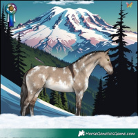 Horse Color:White Spotted Brown Dun 
