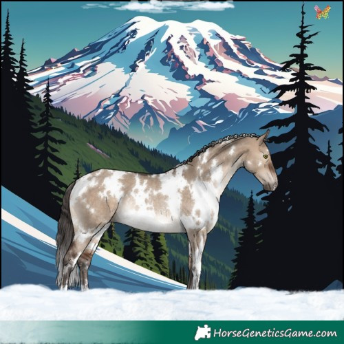 Horse Color:White Spotted Brown Dun Rabicano