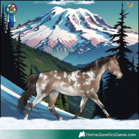 Horse Color:White Spotted Brown Dun Rabicano 