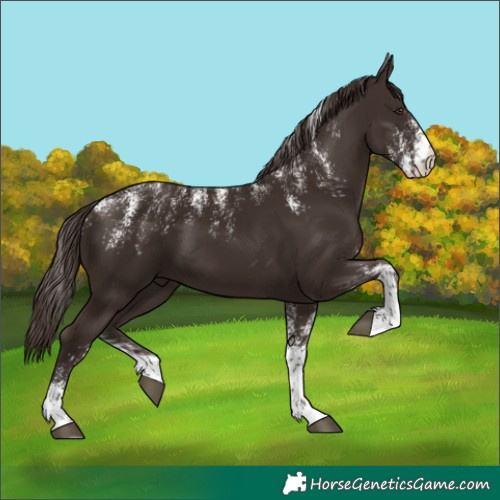 Horse Color:Powder White Liver Chestnut 