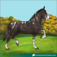 Horse Color:Powder White Liver Chestnut