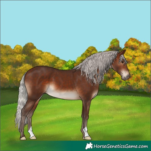 Horse Color:Silver Brown 