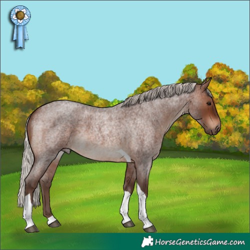 Horse Color:Silver Brown Roan Tobiano 