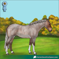 Horse Color:Silver Brown Roan Tobiano