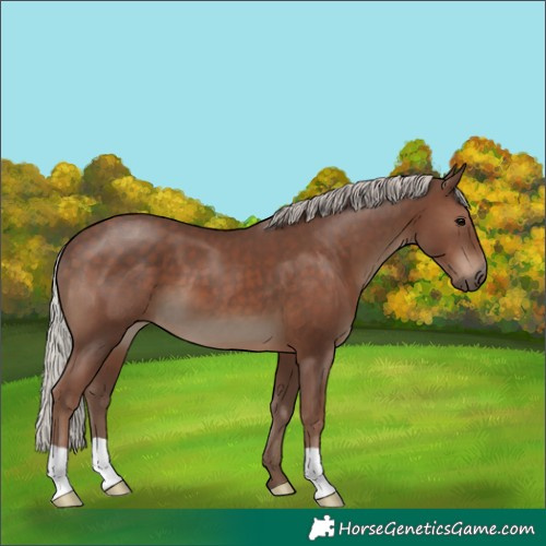 Horse Color:Silver Black 