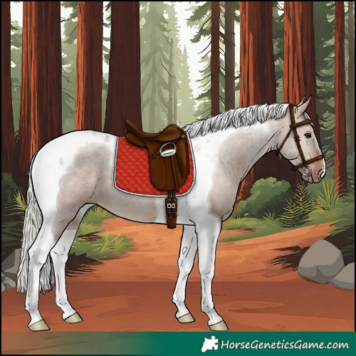 Horse Color:Silver Brown Dun Tobiano 